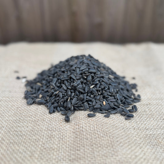 Black Sunflower Seeds