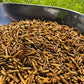 Calci Worms - Premium Straight Foods  - Just £1.60! Shop now at Gala Wildlife