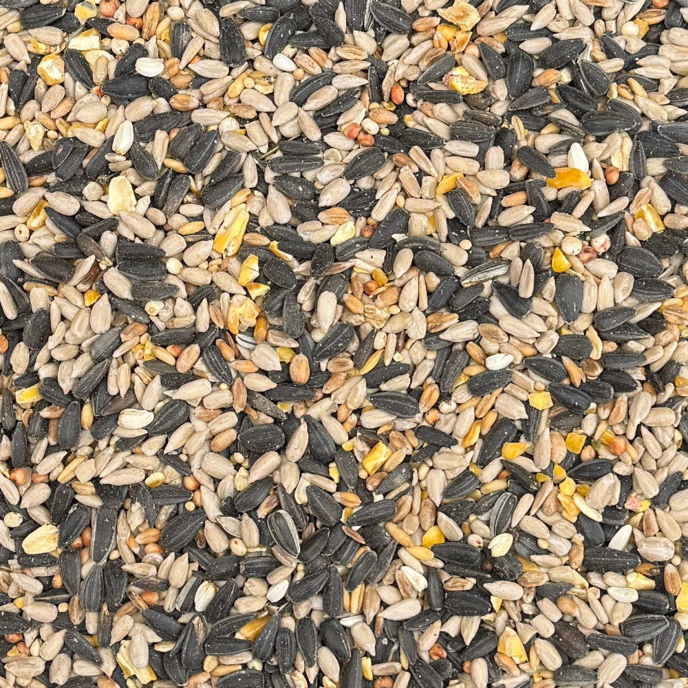 Seed Feeder Mix