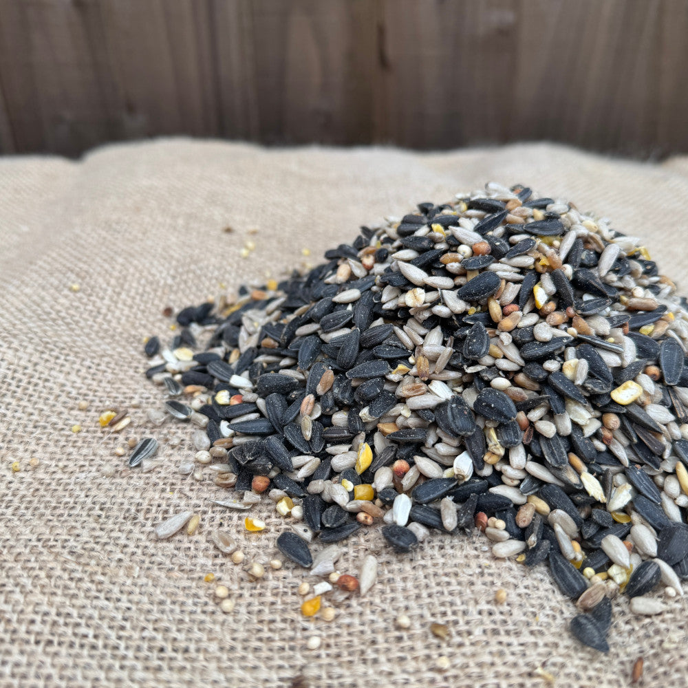 Seed Feeder Mix