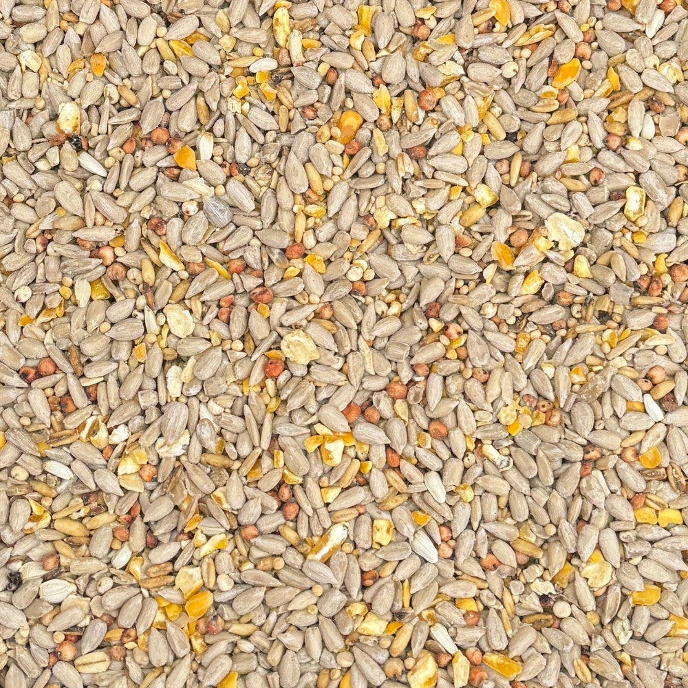 No Mess Seed Mix