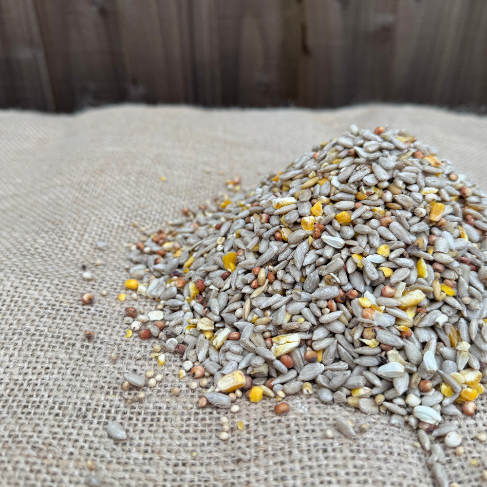 No Mess Seed Mix