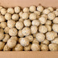 Premium Fat Balls - Premium Fat Balls & Suet  - Just £1.10! Shop now at Gala Wildlife