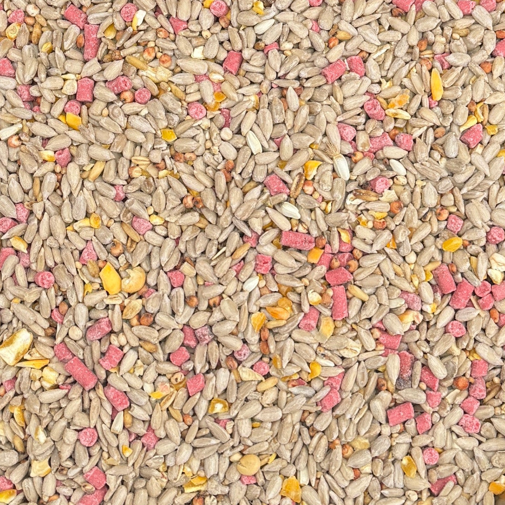 Premium Bird Seed Mix