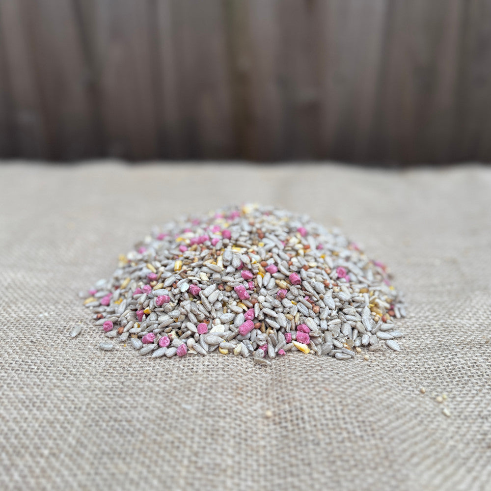 Premium Bird Seed Mix