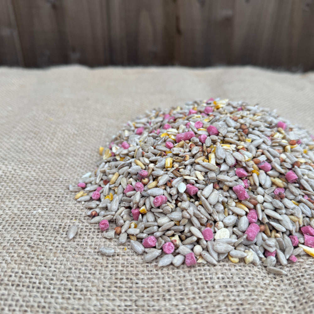 Premium Bird Seed Mix